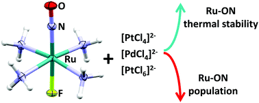 Graphical abstract: The impact of counterion on the metastable state properties of nitrosyl ruthenium complexes