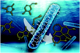 Graphical abstract: N-doped graphene quantum dots modified with CuO (0D)/ZnO (1D) heterojunctions as a new nanocatalyst for the environmentally friendly one-pot synthesis of monospiro derivatives