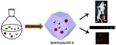 Graphical abstract: The construction of a multifunctional metal–organic framework for targeting tumors and bioimaging