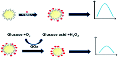 Graphical abstract: Au@Ag nanoparticle sensor for sensitive and rapid detection of glucose