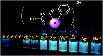 Graphical abstract: The remarkable selectivity of the 2-arylquinoline-based acyl hydrazones toward copper salts: exploration of their catalytic applications in the copper catalysed N-arylation of indole derivatives and C1-alkynylation of tetrahydroisoquinolines via the A3 reaction