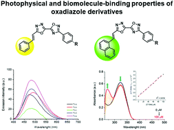 Graphical abstract: Synthesis, spectroscopic characterization and DNA/HSA binding studies of (phenyl/naphthyl)ethenyl-substituted 1,3,4-oxadiazolyl-1,2,4-oxadiazoles