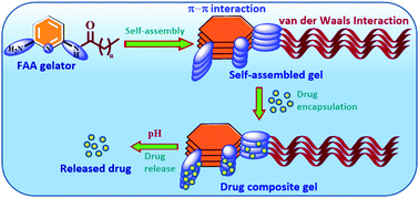 Graphical abstract: DAP derived fatty acid amide organogelators as novel carrier for drug incorporation and pH-responsive release