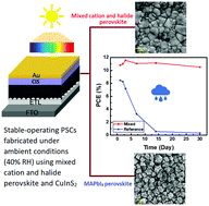 Graphical abstract: Low-cost air-stable perovskite solar cells by incorporating inorganic materials