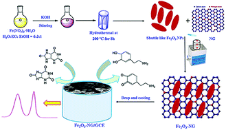 Graphical abstract: Nanohybrids of shuttle-like α-Fe2O3 nanoparticles and nitrogen-doped graphene for simultaneous voltammetric detection of dopamine and uric acid