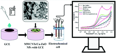 Graphical abstract: Electrocatalytic behavior of a heterostructured nanocomposite sensor for aminotriazole