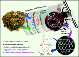 Graphical abstract: Sustainable route for the synthesis of flower-like Ni@N-doped carbon nanosheets from bagasse and its catalytic activity towards reductive amination of nitroarenes with bio-derived aldehydes