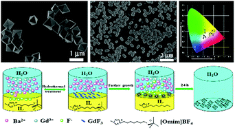 Graphical abstract: Ionic liquid/H2O two-phase synthesis and luminescence properties of BaGdF5:RE3+ (RE = Ce/Dy/Eu/Yb/Er) octahedra