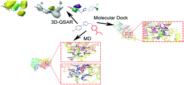 Graphical abstract: In silico design of novel benzohydroxamate-based compounds as inhibitors of histone deacetylase 6 based on 3D-QSAR, molecular docking, and molecular dynamics simulations