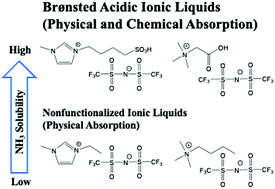 Graphical abstract: NH3 absorption in Brønsted acidic imidazolium- and ammonium-based ionic liquids