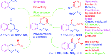 Graphical abstract: The synthesis, biological evaluation and fluorescence study of chromeno[4,3-b]pyridin/quinolin-one derivatives, the backbone of natural product polyneomarline C scaffolds: a brief review