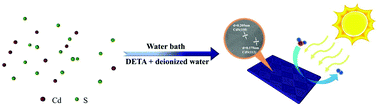 Graphical abstract: Noble-metal-free hexagonal wurtzite CdS nanoplates with exposed (110) and (112) crystal facets for efficient visible-light H2 production