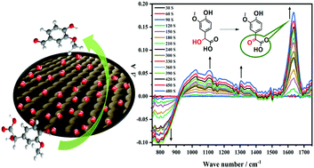 Graphical abstract: An efficient environmentally friendly CuFe2O4/SiO2 catalyst for vanillyl mandelic acid oxidation in water under atmospheric pressure and a mechanism study