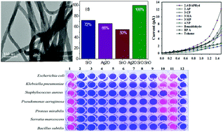 Graphical abstract: Photocatalytic, anti-bacterial performance and development of 2,4-diaminophenylhydrazine chemical sensor probe based on ternary doped Ag·SrSnO3 nanorods