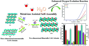 Graphical abstract: Two-dimensional bimetallic CoFe selenite via metal-ion assisted self-assembly for enhanced oxygen evolution reaction