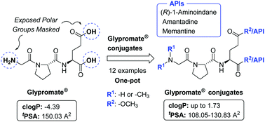 Graphical abstract: Bioinspired design for the assembly of Glypromate® neuropeptide conjugates with active pharmaceutical ingredients