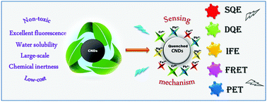 Graphical abstract: Fluorescence quenching mechanism and the application of green carbon nanodots in the detection of heavy metal ions: a review