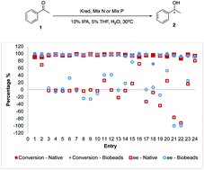 Graphical abstract: Biocatalytic ketone reductions using Biobeads for miniaturized high throughput experimentation