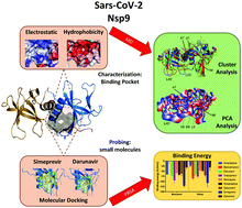 Graphical abstract: Targeting Nsp9 as an anti-SARS-CoV-2 strategy