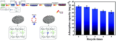 Graphical abstract: Preparation of an ion imprinted chitosan-based porous film with an interpenetrating network structure for efficient selective adsorption of Gd(iii)