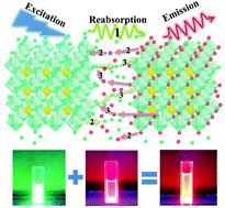 Graphical abstract: Dynamics of anion exchange in cesium lead halide (CsPbX3) perovskite nanocrystals