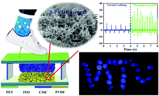 Graphical abstract: Highly efficient and continuous triboelectric power harvesting based on a porous β-phase poly(vinylidene fluoride) aerogel