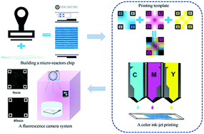 Graphical abstract: Preparation of a modified g-C3N4 catalyst library and realization of a two-dimensional screening reaction