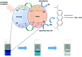 Graphical abstract: Photocatalytic degradation of methylene blue under UV and visible light by brookite–rutile bi-crystalline phase of TiO2