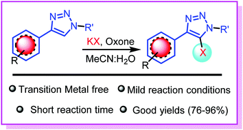 Graphical abstract: Facile and direct halogenation of 1,2,3-triazoles promoted by a KX–oxone system under transition metal free conditions