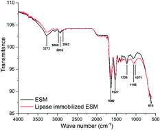 Graphical abstract: A new bioremediation method for removal of wastewater containing oils with high oleic acid composition: Acinetobacter haemolyticus lipase immobilized on eggshell membrane with improved stabilities