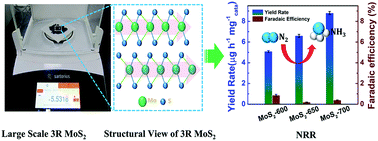 Graphical abstract: A large scaled-up monocrystalline 3R MoS2 electrocatalyst for efficient nitrogen reduction reactions