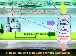 Graphical abstract: High-efficiency catalytic wet air oxidation of high salinity phenolic wastewater under atmospheric pressure in molten salt hydrate media