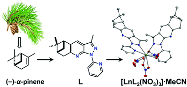 Graphical abstract: Ln(iii) complexes with a chiral 1H-pyrazolo[3,4-b]pyridine derivative fused with a (−)-α-pinene moiety: synthesis, crystal structure, and photophysical studies in solution and in the solid state