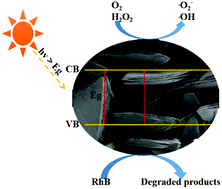 Graphical abstract: Synthesis of novel porphyrin derivatives and their self-assemblies to enhance photocatalytic performance