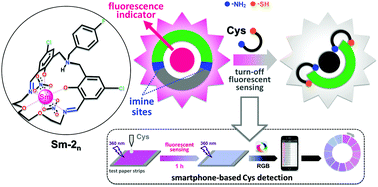Graphical abstract: Specific detection and determination of cysteine by a luminescent samarium macrocycle-based fluorescent probe platform