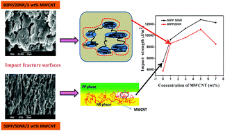 Graphical abstract: Enhanced mechanical and thermal performance of multiwalled carbon nanotubes-filled polypropylene/natural rubber thermoplastic elastomers