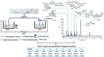 Graphical abstract: Holistic quality evaluation of compound liquorice tablets using capillary electrophoresis fingerprinting combined with chemometric methods