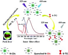 Graphical abstract: Facile synthesis of nitrogen-doped carbon dots from pork liver and its sensing of 6-thioguanine based on the inner filter effect