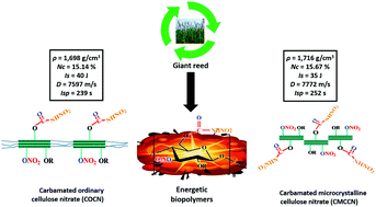 Graphical abstract: New insensitive high-energy dense biopolymers from giant reed cellulosic fibers: their synthesis, characterization, and non-isothermal decomposition kinetics