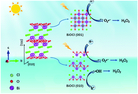 Graphical abstract: Insight into facet-dependent photocatalytic H2O2 production on BiOCl nanosheets