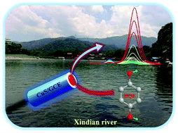 Graphical abstract: Copper sulfide nano-globules reinforced electrodes for high-performance electrochemical determination of toxic pollutant hydroquinone