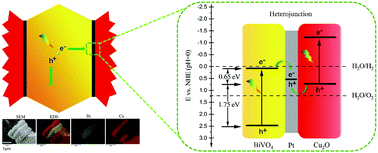 Graphical abstract: Facet-selective construction of Cu2O/Pt/BiVO4 heterojunction arrays for photocatalytic H2 production from water