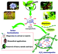 Graphical abstract: Green synthesis of nano-Al2O3, recent functionalization, and fabrication of synthetic or natural polymer nanocomposites: various technological applications