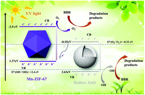 Graphical abstract: Construction of hollow ZnO/Mn-ZIF-67 heterojunction photocatalysts: enhanced photocatalytic performance and mechanistic insight