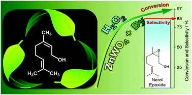 Graphical abstract: Dysprosium-doped zinc tungstate nanospheres as highly efficient heterogeneous catalysts in green oxidation of terpenic alcohols with hydrogen peroxide