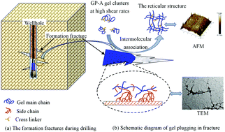 Graphical abstract: Effects of a crosslinking agent on a supramolecular gel to control lost circulation