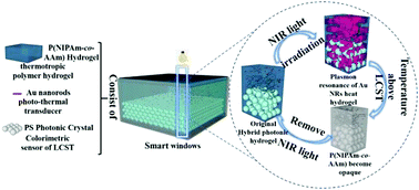 Graphical abstract: Near infrared-sensitive smart windows from Au nanorod–polymer hybrid photonic hydrogels