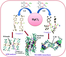 Graphical abstract: Role of non-covalent interactions in the supramolecular architectures of mercury(ii) diphenyldithiophosphates: An experimental and theoretical investigation