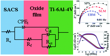 Graphical abstract: Corrosion behavior of additive manufactured Ti-6Al-4V in sulfamic acid cleaning solution