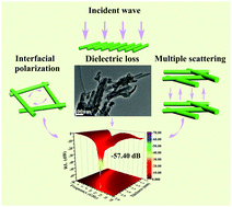 Graphical abstract: Novel composites with a cross-linked polyaniline shell and oriented palygorskite as ideal microwave absorbers
